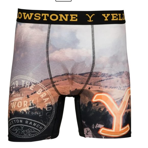 NWT Men's Yellowstone Boxer Briefs Size Medium Smokey Landscape Print with Logo - Picture 11 of 13